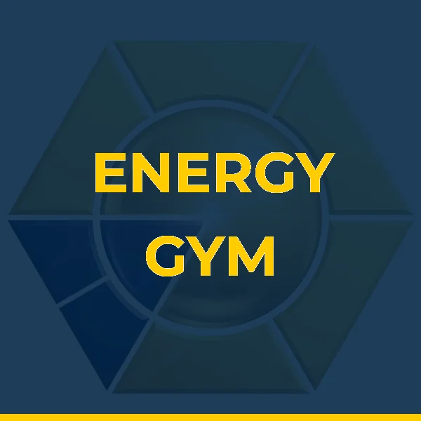 Logo de ENERGY GYM ACADEMIA DE MUSCULACAO LTDA
