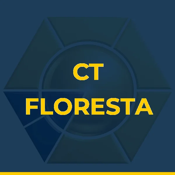 Logo de NAVI CENTRO DE TREINAMENTO LTDA