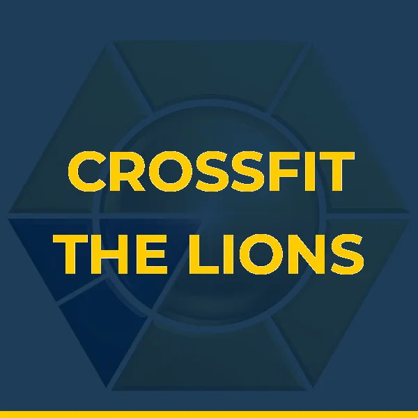 Logo de CENTRO DE TREINAMENTO THE LIONS LTDA