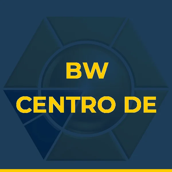 Logo de BW CENTRO DE TREINAMENTO LTDA