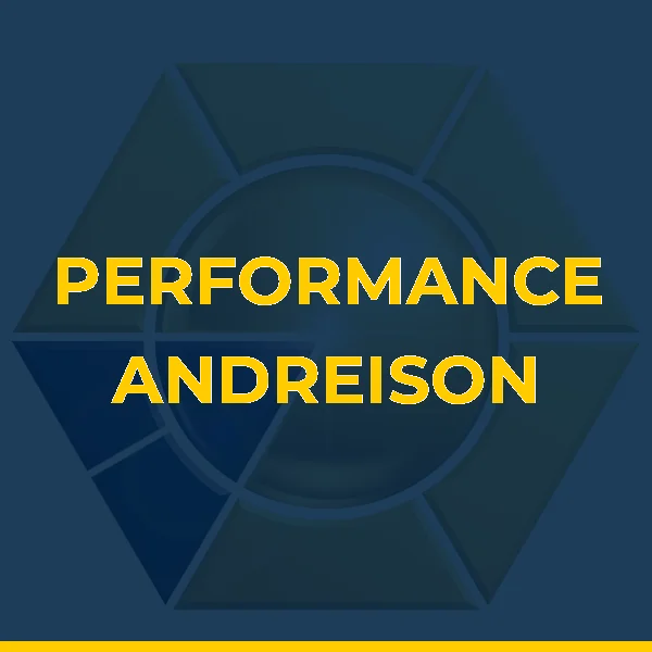 Logo de PERFORMANCE ANDREISON BRITO LTDA