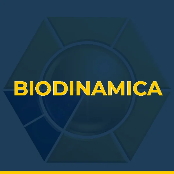 Logo de BIODINAMICA CONSULTORIA EM EXERCICIOS FISICOS E SAUDE LTDA