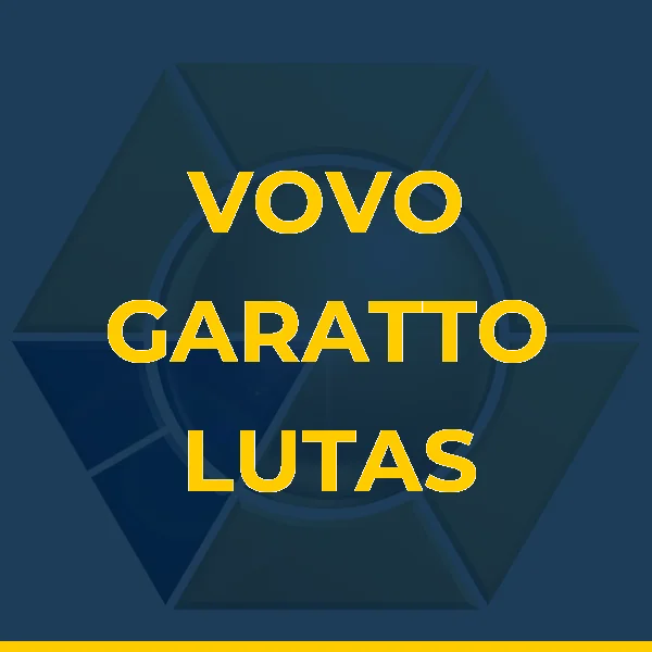 Logo de ROGERIO DE MELLO E SILVA LTDA