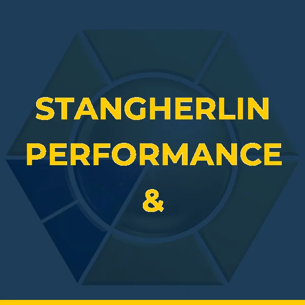 Logo de STANGHERLIN PERFORMANCE & SAUDE LTDA