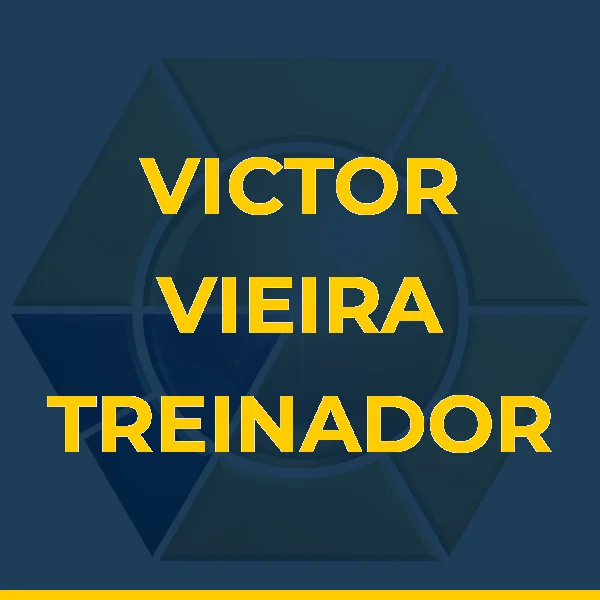 Logo de VICTOR VIEIRA TREINADOR LTDA
