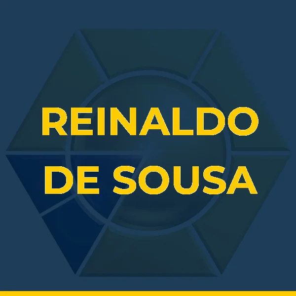Logo de REINALDO DE SOUSA SANTOS