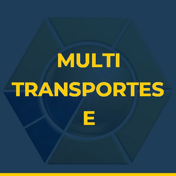 Logo de MULTI TRANSPORTES E SERVICOS LTDA