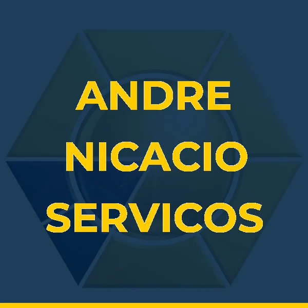 Logo de ANDRE NICACIO BARBOSA LIMA LTDA