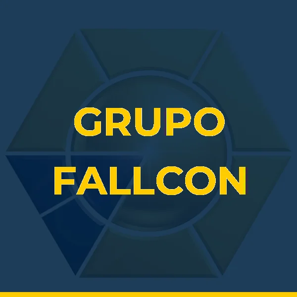Logo de FALLCON TERCEIRIZACAO DE MAO DE OBRA LTDA