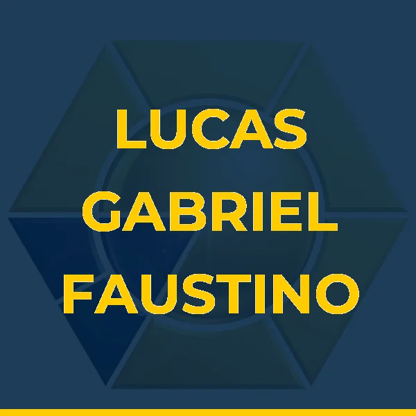 LUCAS GABRIEL FAUSTINO DE SOUSA
