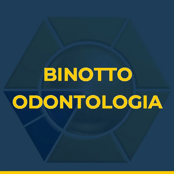 Logo de LUANA ANDRESSA BINOTTO LTDA