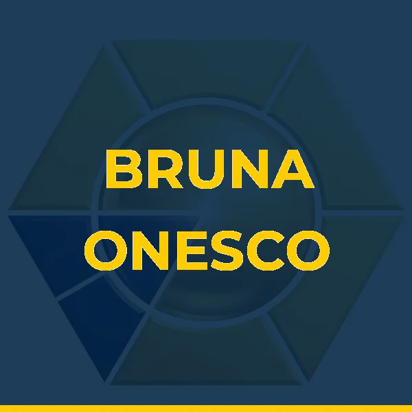 Logo de BRUNA ONESCO SERVICOS MEDICOS LTDA