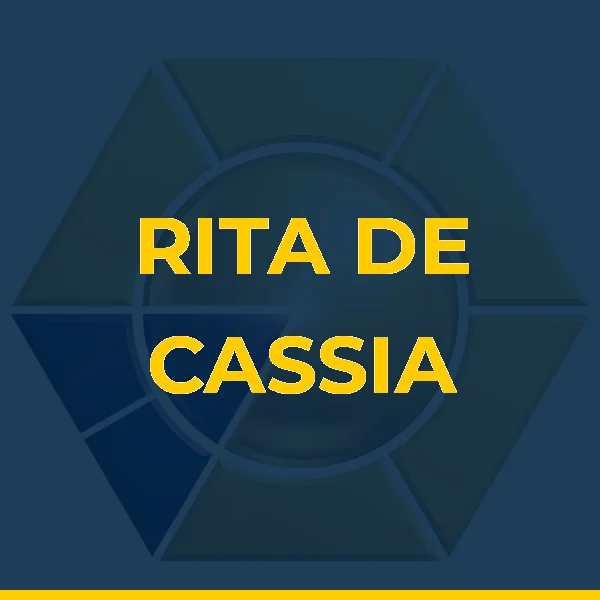 Logo de RITA DE CASSIA CASTILHO TEIXEIRA LTDA
