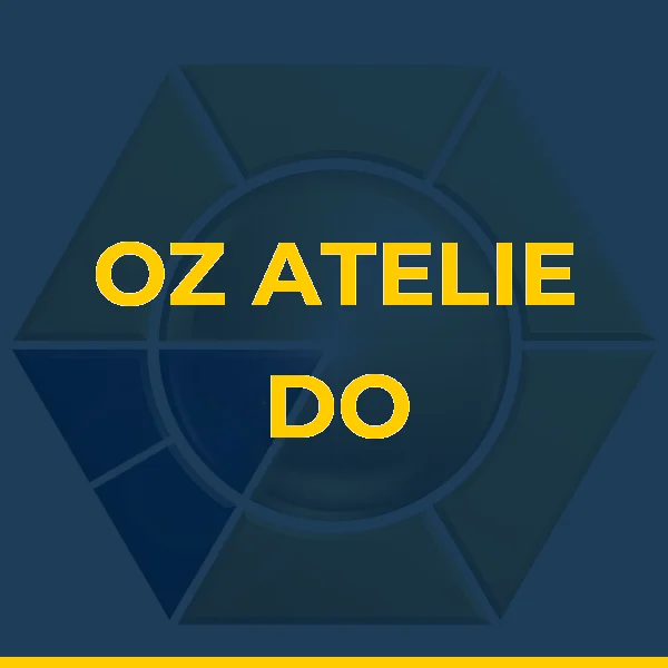 Logo de OZ ATELIE DO SORRISO LTDA