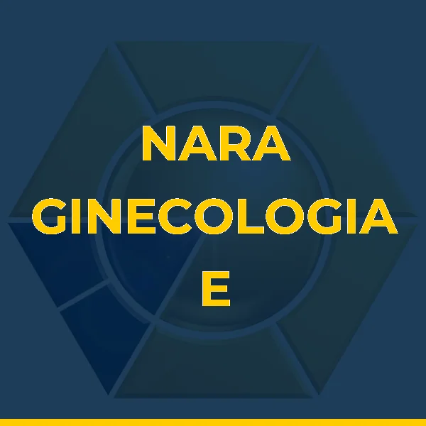 Logo de NARA ASSIS OLIVEIRA GINECOLOGIA E OBSTETRICIA LTDA