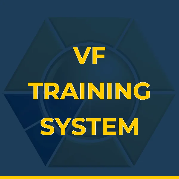 Logo de VIVIANE FEDER TRAINING SYSTEM LTDA