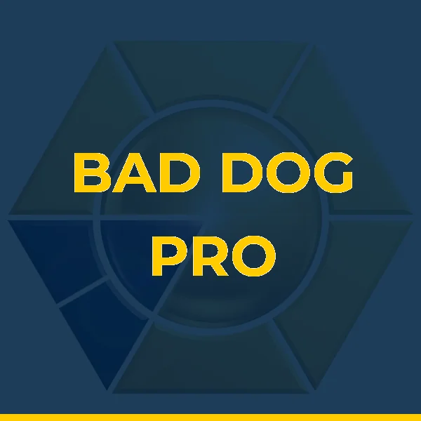 Logo de ACADEMIA DE GINASTICA BAD DOG PRO LTDA