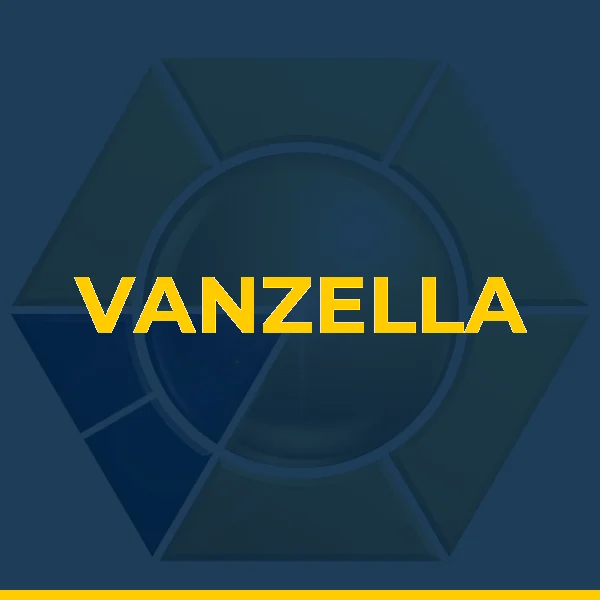 Logo de BERNADETE MALMEGRIM VANZELLA AMIM LTDA