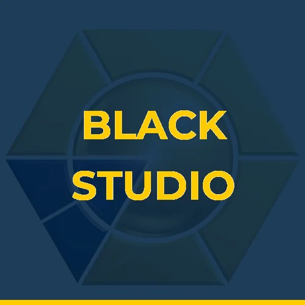Logo de BLACK STUDIO EXPERIENCE LTDA