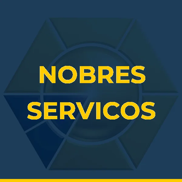 Logo de NOBRES SERVICOS ADMINISTRATIVOS LTDA