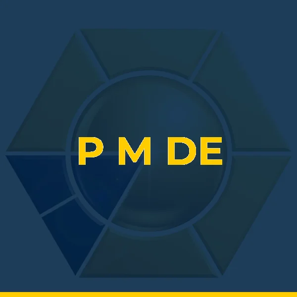 Logo de P M DE CARVALHO JUNIOR  LTDA