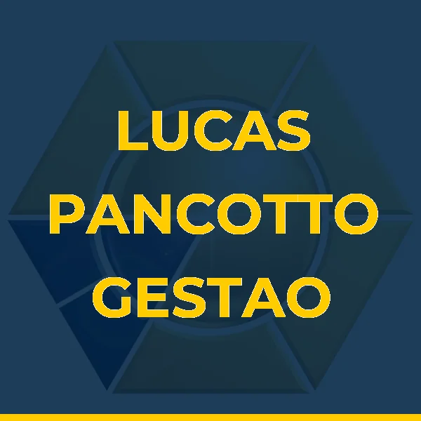 Logo de LUCAS PANCOTTO GESTAO EMPRESARIAL LTDA