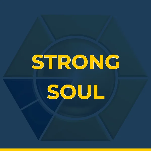 Logo de STRONG SOUL CENTRO DE TREINAMENTO LTDA