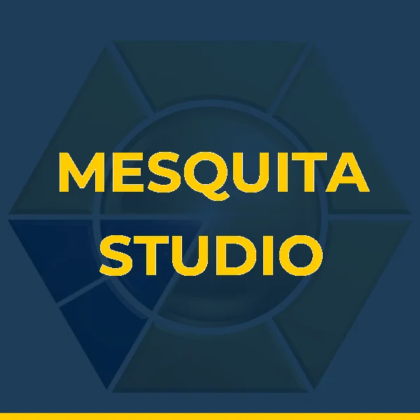Logo de P. MESQUITA STUDIO DE MUSCULACAO, CONDICIONAMENTO E TREINAMENTO FISICO LTDA