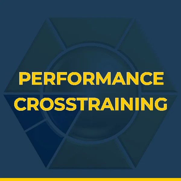 Logo de PERFORMANCE TREINAMENTO INTEGRADO LTDA