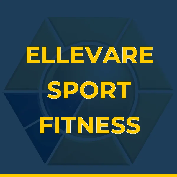 Logo de ELLEVARE SPORT FITNESS TREINAMENTO E ASSESSORIA LTDA
