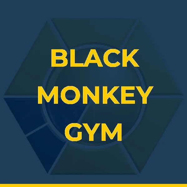 Logo de BLACK MONKEY GYM LTDA