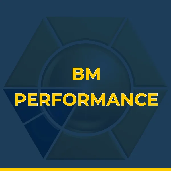 Logo de BRUNA MIRANDA TREINAMENTO E CONSULTORIA LTDA