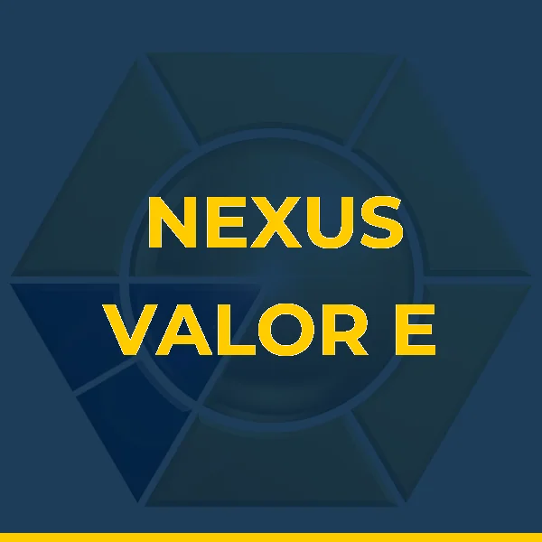 Logo de NEXUS VALOR E INTELIGENCIA CORPORATIVA LTDA
