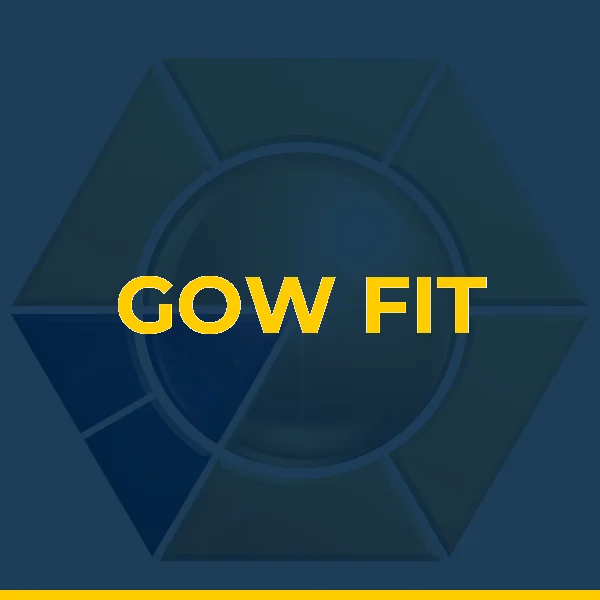 Logo de GOWFIT PRUDENTE LTDA