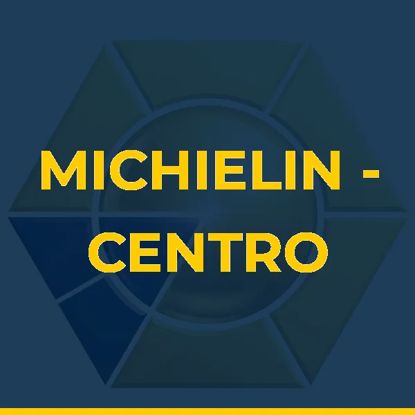Logo de MICHIELIN - CENTRO DE PROMOCAO A SAUDE OCUPACIONAL LTDA