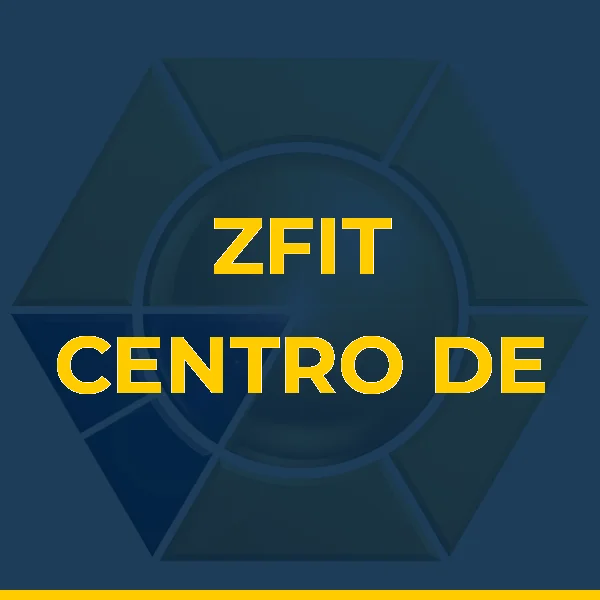 Logo de ZFIT CENTRO DE TREINAMENTO LTDA