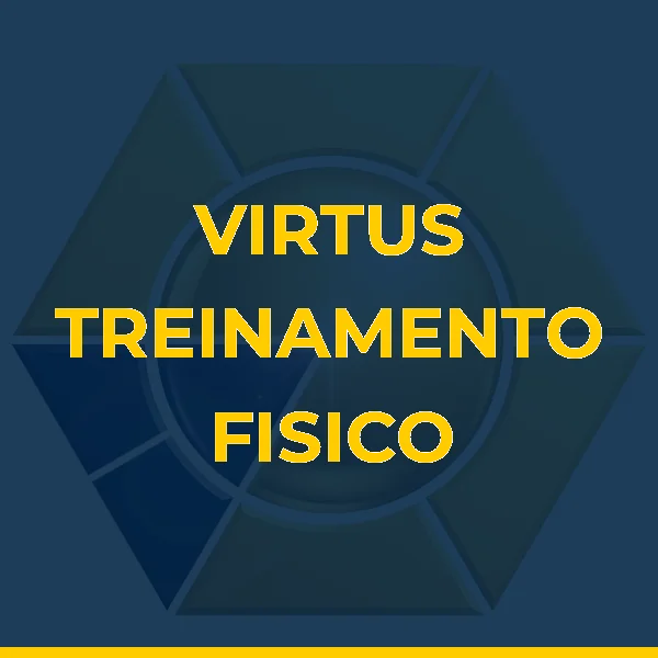 Logo de VIRTUS S Z LIMITADA