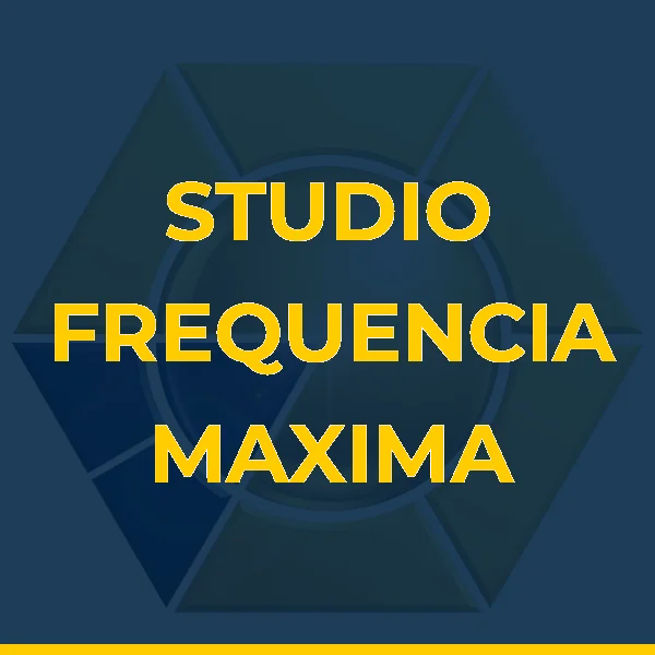 Logo de STUDIO DE TREINAMENTO PERSONALIZADO FREQUENCIA MAXIMA LTDA