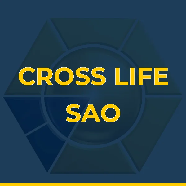 Logo de AL BOX FITNESS E SAUDE LTDA