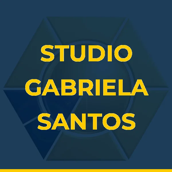 Logo de STUDIO GABRIELA SANTOS VIEIRA LTDA