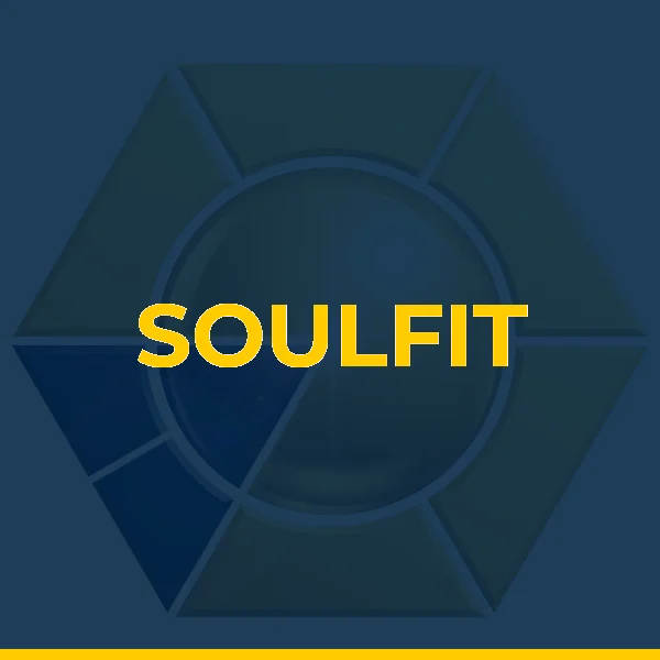 Logo de ACADEMIA SOULFIT LTDA