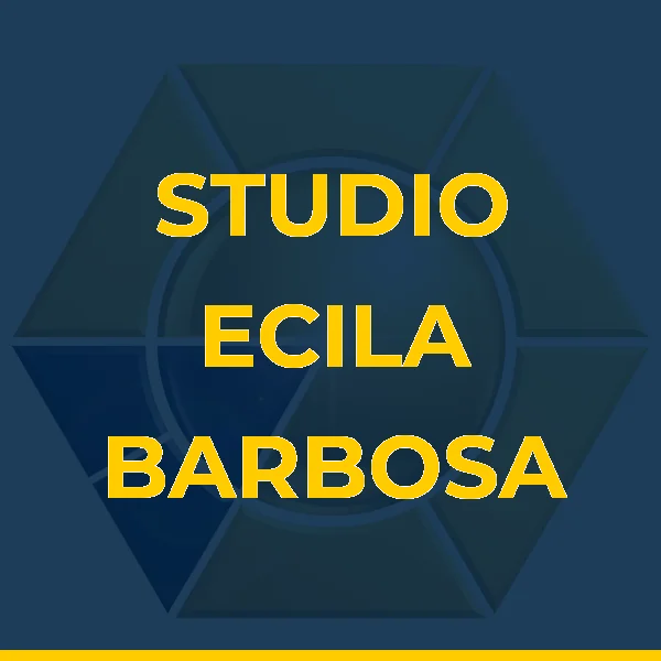 Logo de STUDIO ECILA BARBOSA LTDA