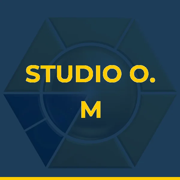 Logo de DAIANNA STUDIO O. M FITNESS LTDA