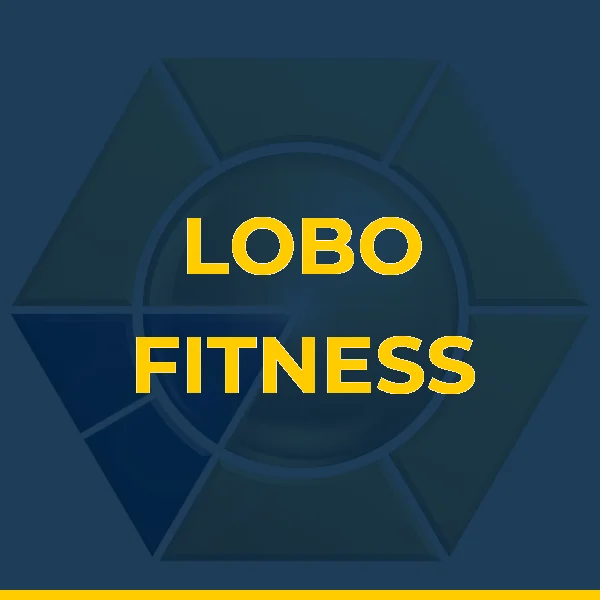 Logo de VILANDER LIMA DA SILVA