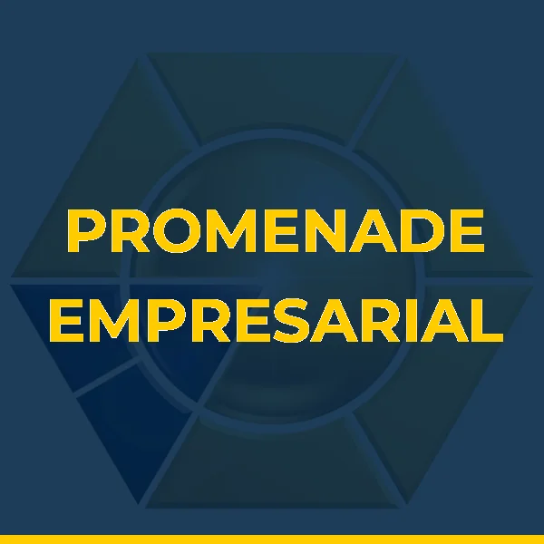 PROMENADE EMPRESARIAL LTDA