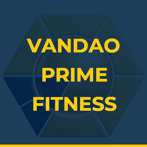Logo de VANDERLEI ANTONIO DA SILVA LTDA