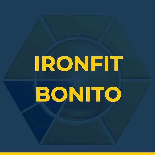 Logo de IRONFIT BONITO LTDA