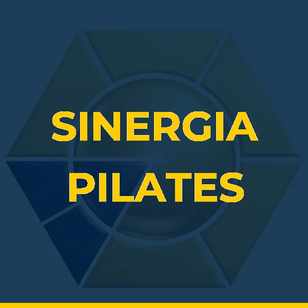 Logo de STHEFANY SINERGIA SERVICOS E COMERCIO LTDA