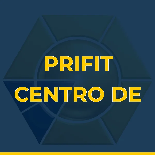 PRIFIT CENTRO DE TREINAMENTO LTDA