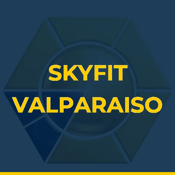 Logo de SKYFIT VALPARAISO DE GOIAS LTDA